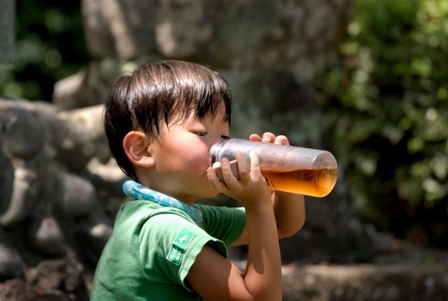 お茶を飲む男の子